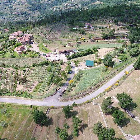 Agriturismo Villa Iris Castelfranco di Sopra Bagian luar foto