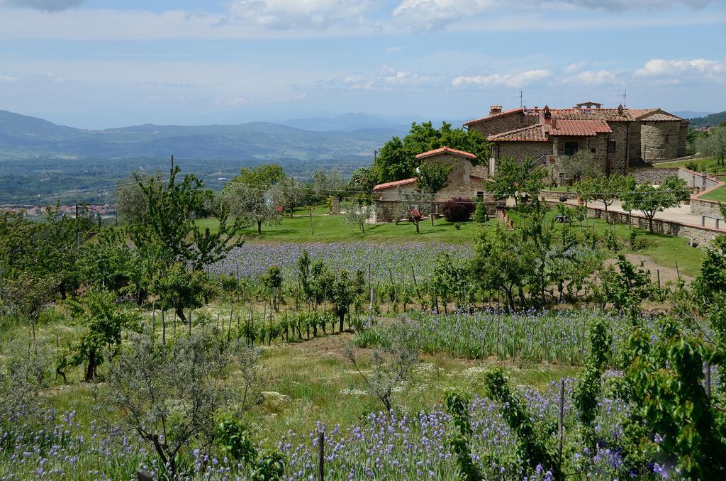 Agriturismo Villa Iris Castelfranco di Sopra Bagian luar foto