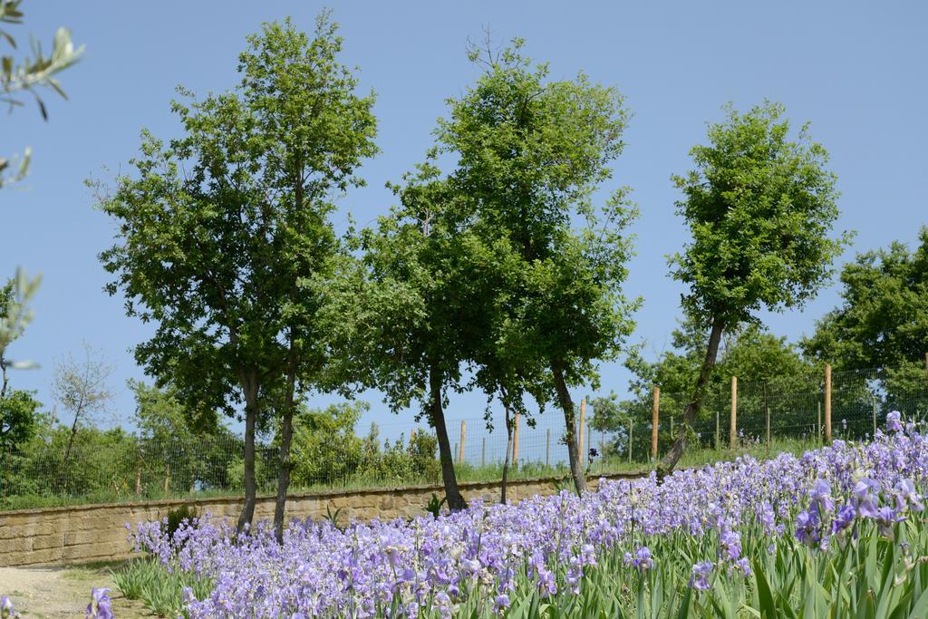 Agriturismo Villa Iris Castelfranco di Sopra Bagian luar foto