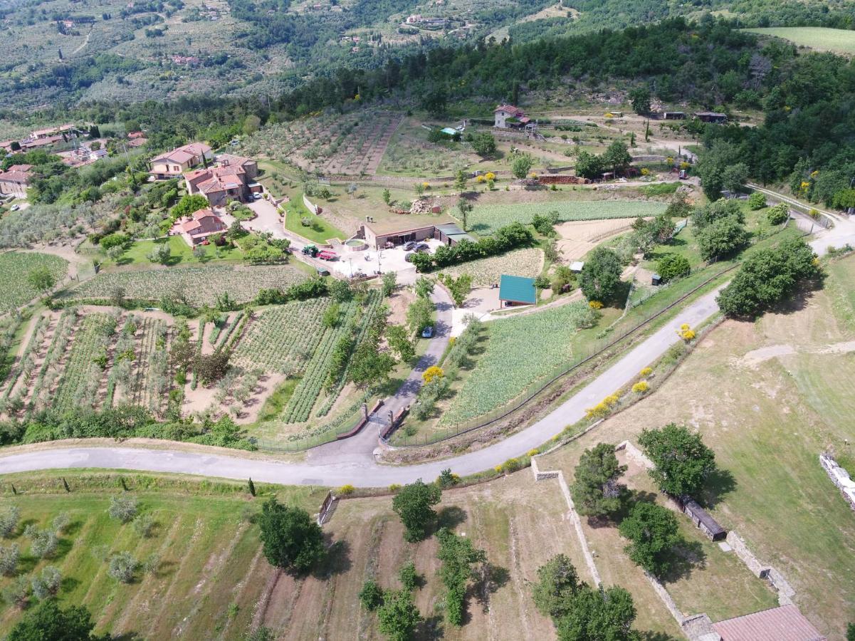 Agriturismo Villa Iris Castelfranco di Sopra Bagian luar foto