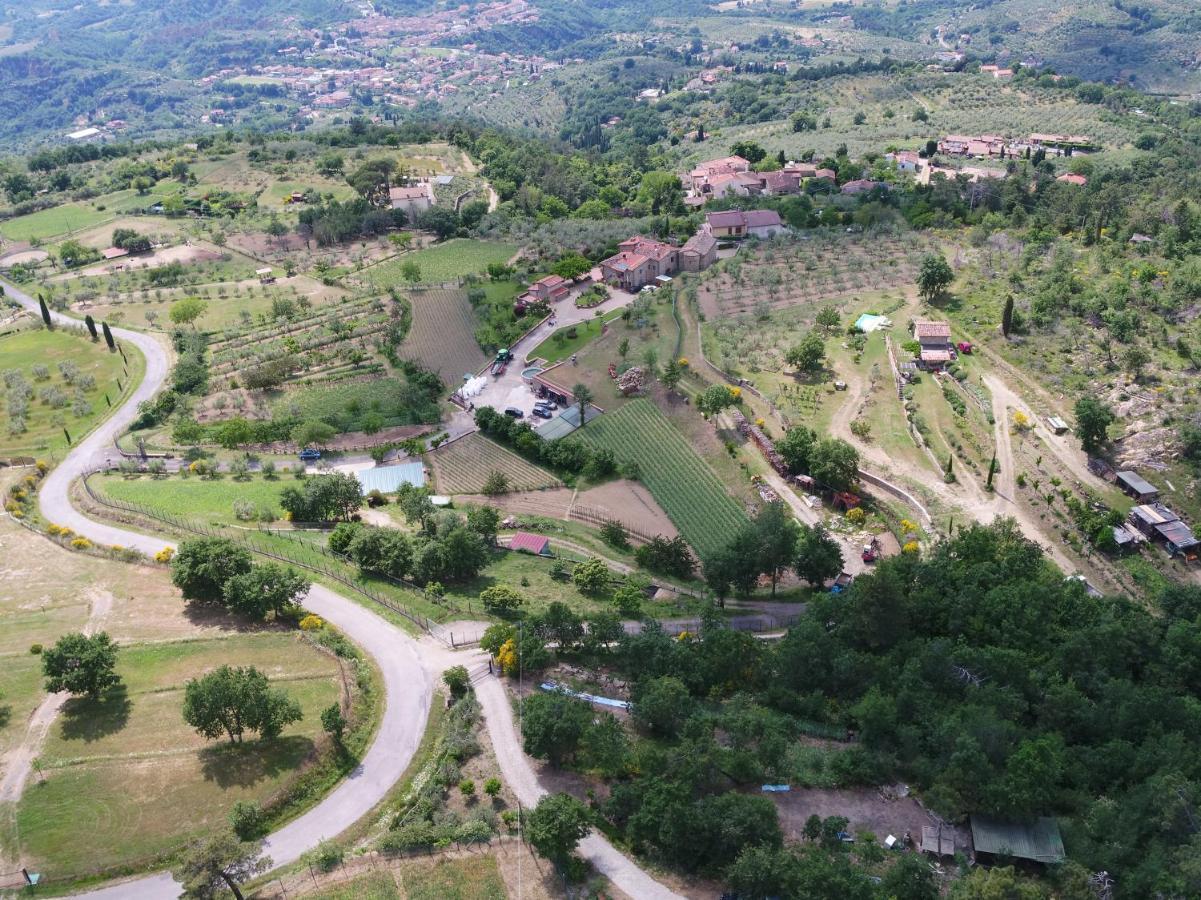 Agriturismo Villa Iris Castelfranco di Sopra Bagian luar foto